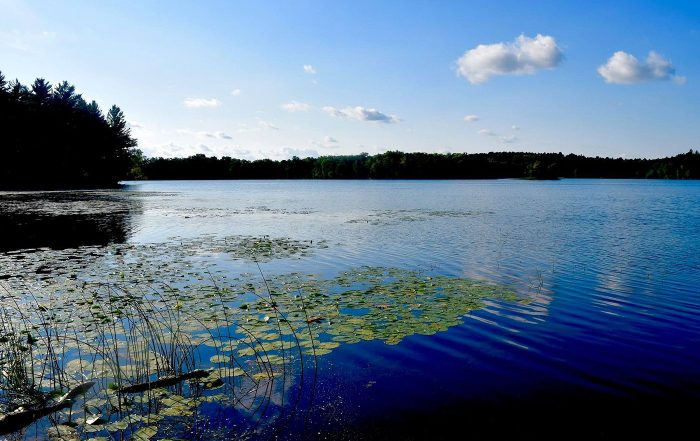 Detroit Lakes Parks & Outdoors | Detroit Lakes MN Running Trails